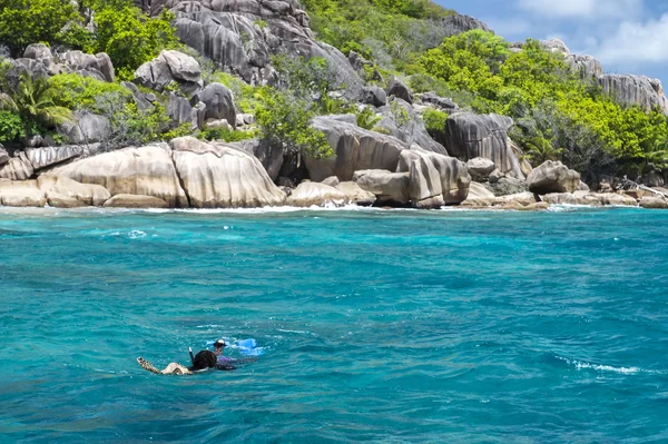 Uno snorkeler su un'isola di barriera corallina con tartaruga. Seychelles . — Foto Stock