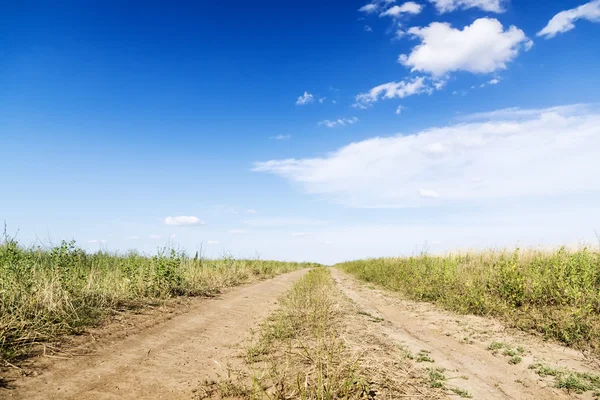 Landskap av vägen med traktor spår i grönt fält — Stockfoto