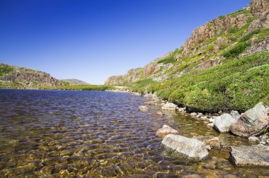dağ gölü Kuzey. yosun kaplı tepeleri ve bodur bitki örtüsü.