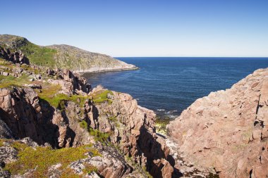 гірське озеро на півночі. Лишайник-пагорбів і низькорослих Вегета