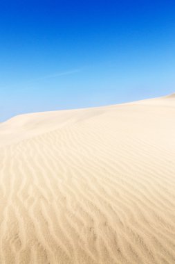 maspalomas sahilde kum tepeleri. 