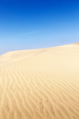 maspalomas sahilde kum tepeleri. 