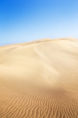 maspalomas sahilde kum tepeleri. 