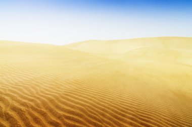 maspalomas sahilde kum tepeleri. 