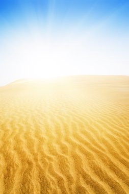 maspalomas sahilde kum tepeleri. 