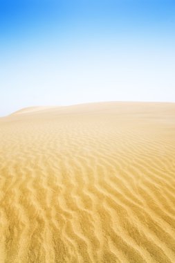 maspalomas sahilde kum tepeleri. 