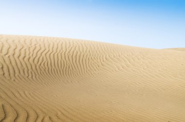 maspalomas sahilde kum tepeleri. 