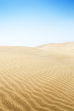 maspalomas sahilde kum tepeleri. 