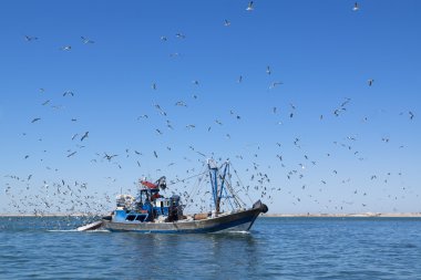 Balıkçılık schooner gelir içine liman tam bir yakalamak.