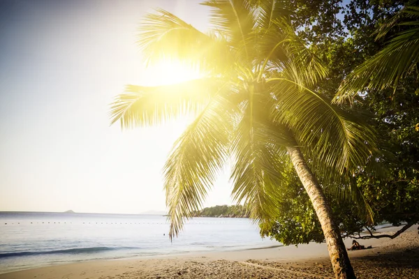 Солнечный берег на Сайшельских островах — стоковое фото
