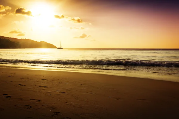 Gold sunset on the sand beach — Stock Photo, Image