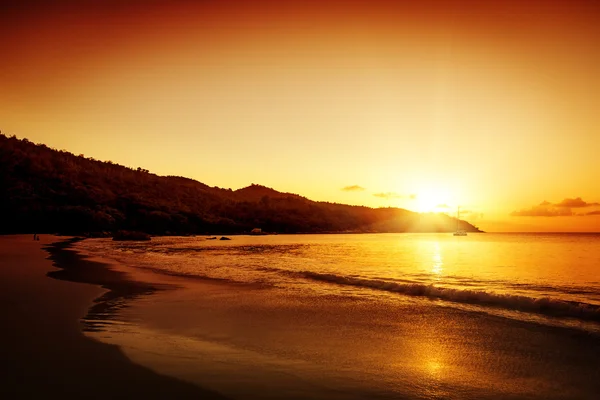 Gold sunset on the sand beach — Stock Photo, Image