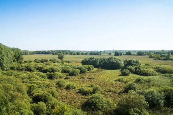 Зелений луг в оточенні лісів . — стокове фото