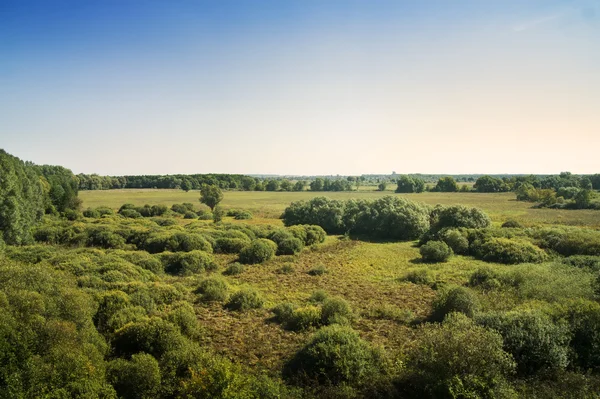 Зеленый луг, окруженный лесами . — стоковое фото