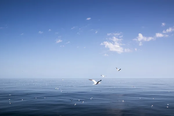 Beautiful sunny day with blue sky over the sea. — Stock Photo, Image