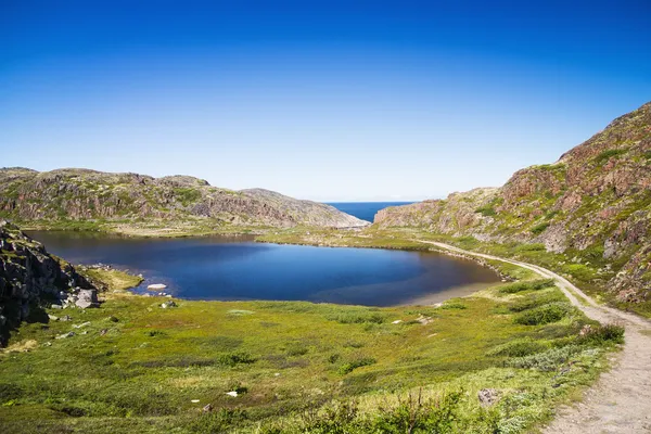 Fjällsjö i norr. mosstäckta hills, och hämmad vege — Stockfoto