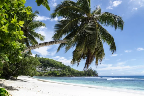 Solrik strand på Saychelles. – stockfoto