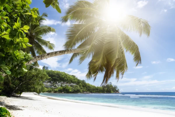 Solrik strand på Saychelles. – stockfoto