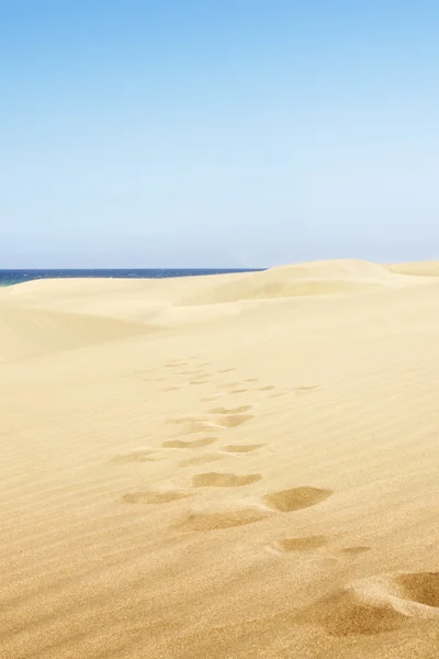 Písečnými dunami na pláži v maspalomas. — Stock fotografie