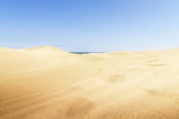 Zandduinen op het strand van maspalomas. — Stockfoto