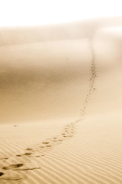Піщані дюни на пляжі у Маспаломасі. — стокове фото