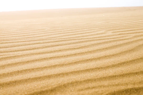 Песчаные дюны в солнечный день . — стоковое фото