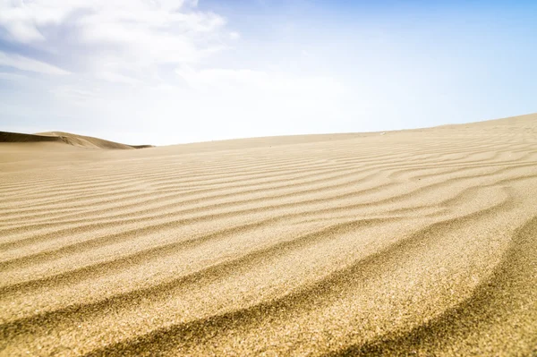 Sand dunes in sunny day. — Stock Photo, Image