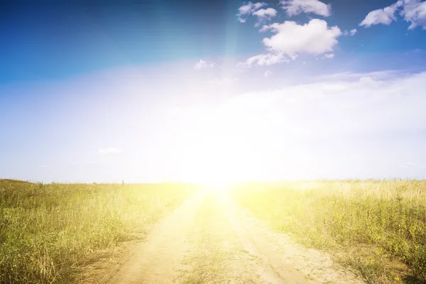 toprak yol ile yeşil alanlar. 