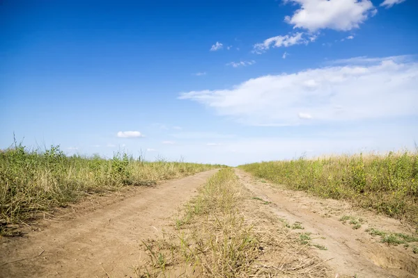 Onverharde weg door de groene velden. — Stockfoto