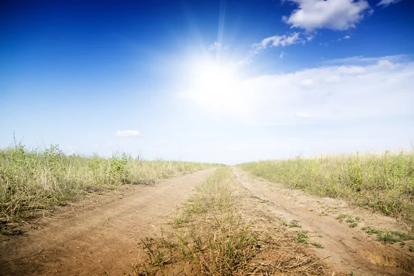 Dirt road through the green fields. — Stock Photo, Image