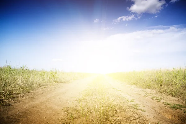 Dirt road through the green fields. — Stock Photo, Image