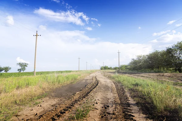 Onverharde weg door de groene velden. — Stockfoto