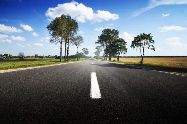 Asphalt road among fields and forests. — Stock Photo, Image