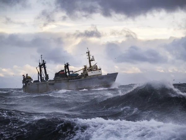 Güçlü fırtınadaki gemi balıkçılık. Telifsiz Stok Fotoğraflar