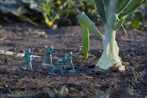 Luta contra a cebola — Fotografia de Stock