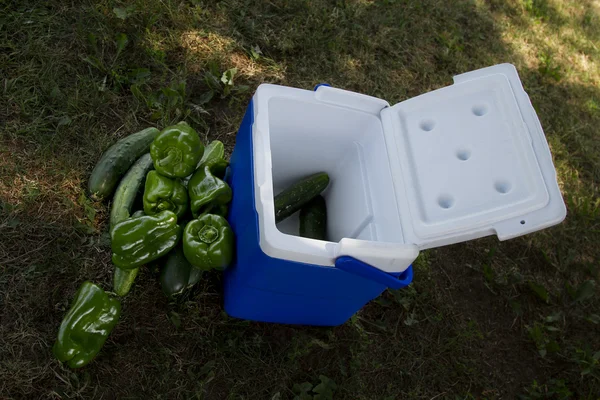 Vege hűtő — Stock Fotó