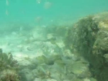 Snorkeling macera