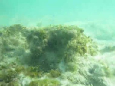 Snorkeling macera