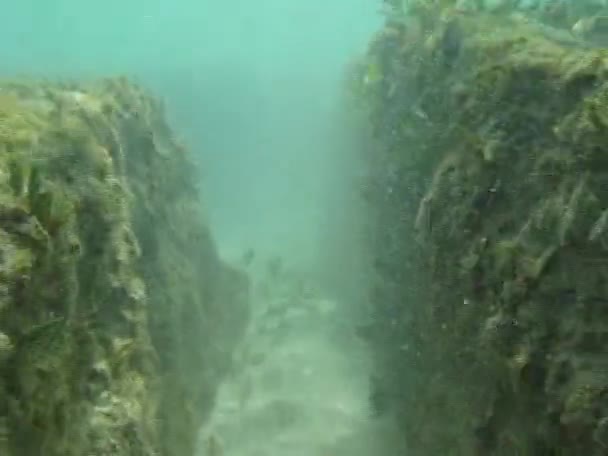 Snorkeling aventura — Vídeo de Stock