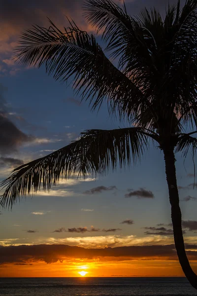 Stilla solnedgång — Stockfoto
