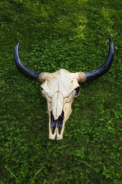 Декоративный Череп Коровы Лежащий Зеленой Траве — стоковое фото