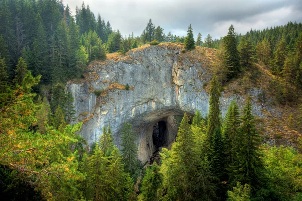 Les merveilleux ponts — Photo