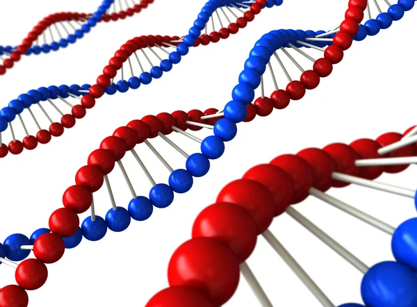 DNA structure — Stock Photo, Image