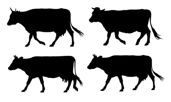 Vacas — Archivo Imágenes Vectoriales