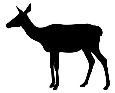 Hind