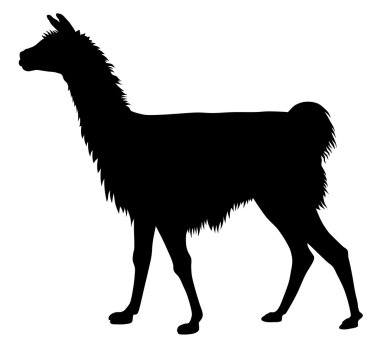 lama