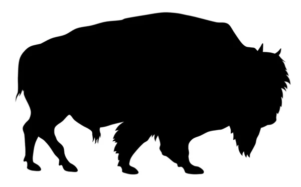 Búfalos —  Vetores de Stock