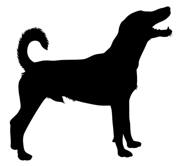 Pes. — Stockový vektor