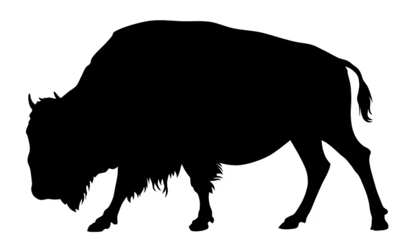 Bison — Image vectorielle