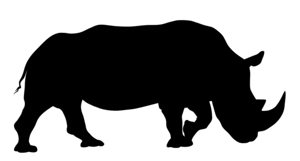 Rhinocéros — Image vectorielle